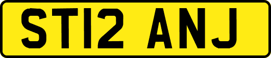 ST12ANJ