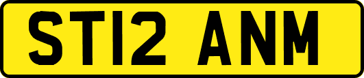 ST12ANM