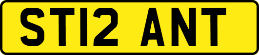 ST12ANT