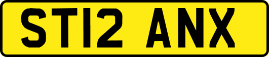 ST12ANX