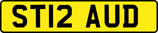 ST12AUD