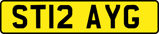 ST12AYG