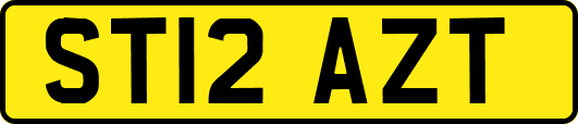 ST12AZT