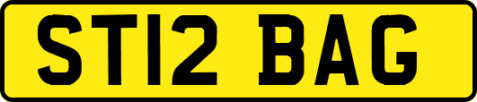 ST12BAG