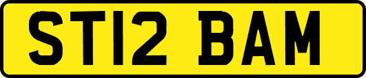 ST12BAM