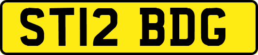 ST12BDG