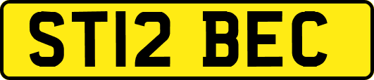 ST12BEC