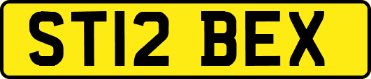 ST12BEX