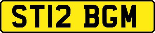 ST12BGM