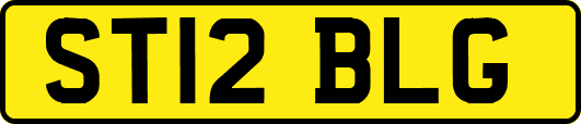 ST12BLG