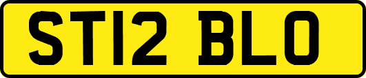 ST12BLO