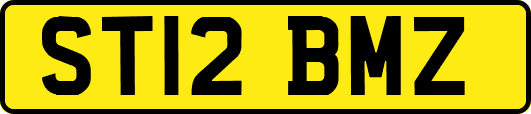 ST12BMZ