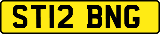 ST12BNG