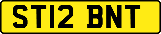 ST12BNT