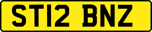 ST12BNZ