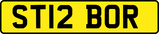 ST12BOR