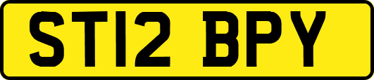 ST12BPY
