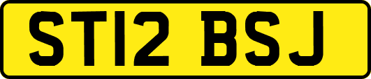 ST12BSJ