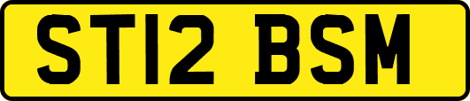 ST12BSM