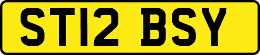 ST12BSY