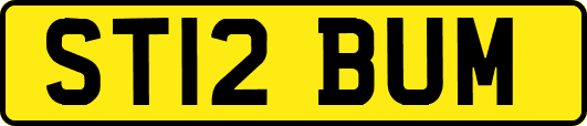 ST12BUM