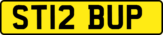 ST12BUP