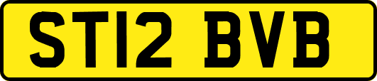 ST12BVB