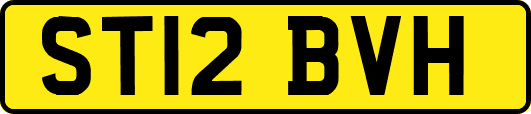 ST12BVH