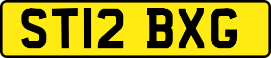 ST12BXG