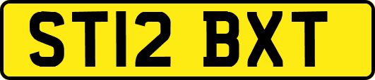 ST12BXT