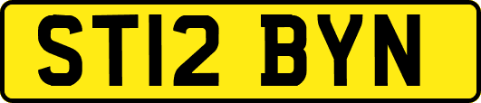 ST12BYN