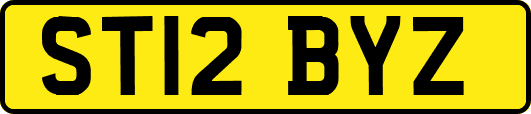 ST12BYZ