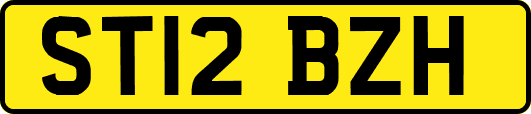 ST12BZH