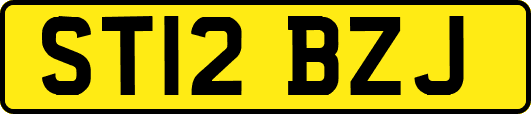 ST12BZJ
