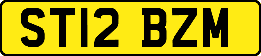 ST12BZM