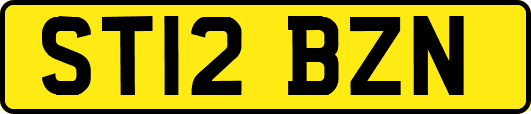 ST12BZN