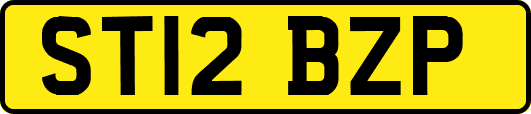 ST12BZP