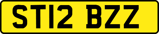 ST12BZZ