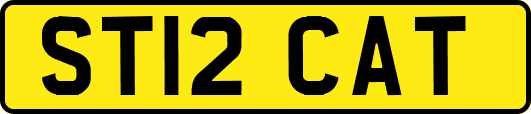 ST12CAT