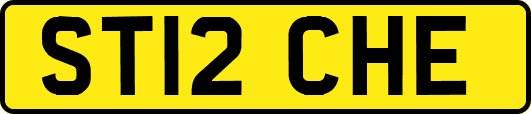 ST12CHE