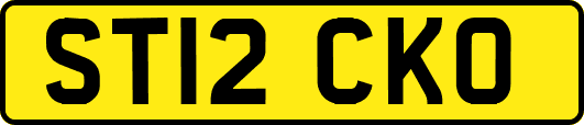 ST12CKO
