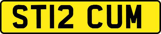 ST12CUM