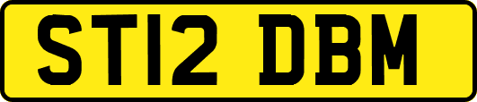 ST12DBM