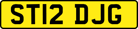 ST12DJG