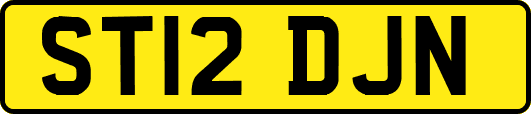 ST12DJN