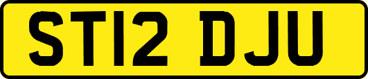 ST12DJU