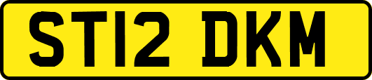 ST12DKM