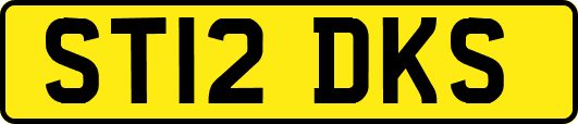 ST12DKS