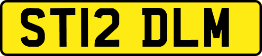 ST12DLM