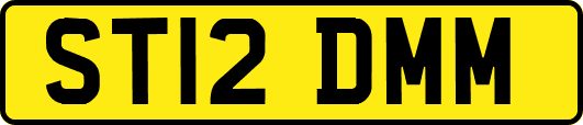 ST12DMM